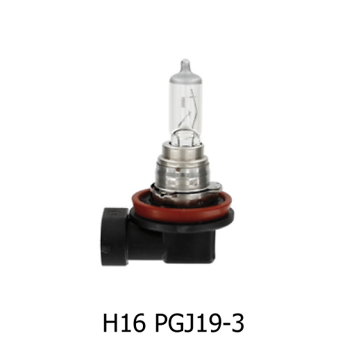 H16-PGJ19-3