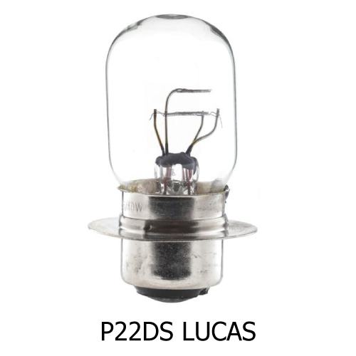 P22DS-LUCAS